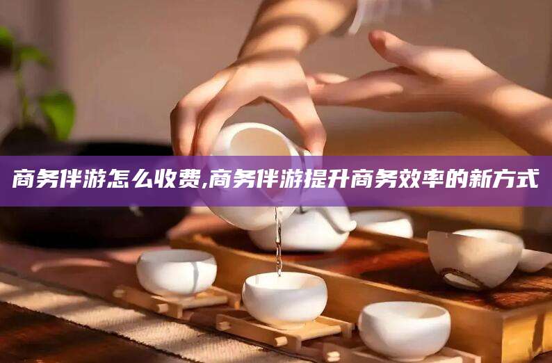 湖南商务伴游怎么收费,商务伴游提升商务效率的新方式