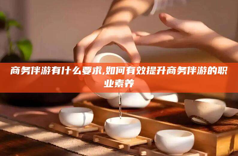 湖南商务伴游有什么要求,如何有效提升商务伴游的职业素养